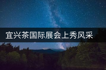 宜興茶國(guó)際展會(huì)上秀風(fēng)采宜興茶國(guó)際展會(huì)上秀風(fēng)采