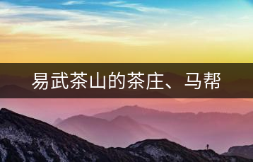 易武茶山的茶莊、馬幫