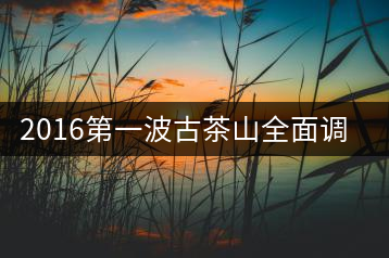 2016第一波古茶山全面調(diào)研第四站——臨滄·大雪山、小戶賽