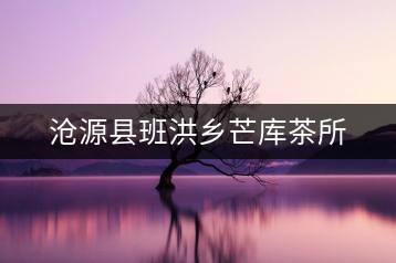 滄源縣班洪鄉(xiāng)芒庫茶所