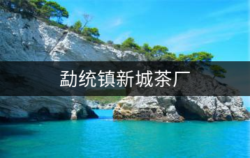 勐統(tǒng)鎮(zhèn)新城茶廠