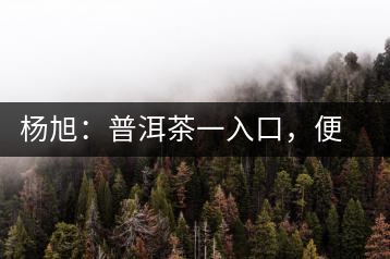 楊旭：普洱茶一入口，便知產(chǎn)地和年份