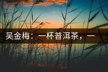 吳金梅：一杯普洱茶，一份云南情