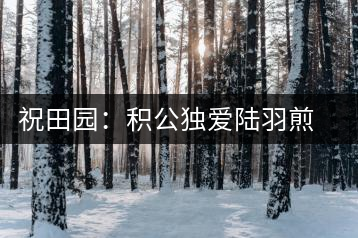 祝田園：積公獨愛陸羽煎的茶