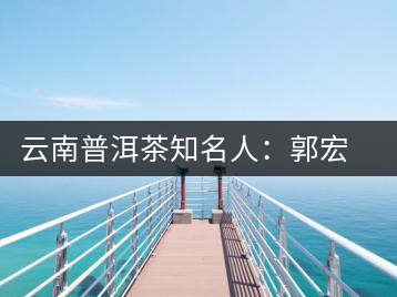云南普洱茶知名人:郭宏隆