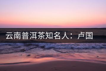 云南普洱茶知名人：盧國齡