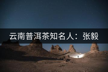 云南普洱茶知名人:張毅