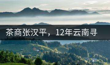 茶商張漢平，12年云南尋茶路
