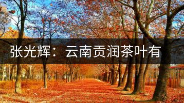 張光輝：云南貢潤(rùn)茶葉有限公司董事長(zhǎng)