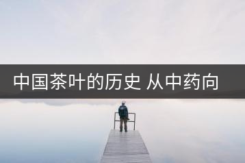 中國茶葉的歷史 從中藥向飲品的轉變