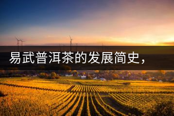 易武普洱茶的發(fā)展簡史，昔日的貢茶如今依然輝煌