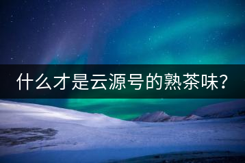 什么才是云源號的熟茶味？