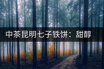 中茶昆明七子鐵餅：甜醇甘潤，陳韻綿長