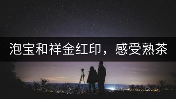 泡寶和祥金紅印，感受熟茶之美。