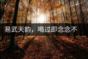 易武天韻，喝過(guò)即念念不忘的茶中皇后