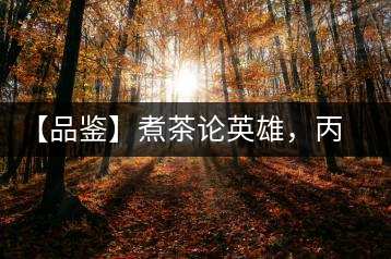 【品鑒】煮茶論英雄，丙申年易武麻黑