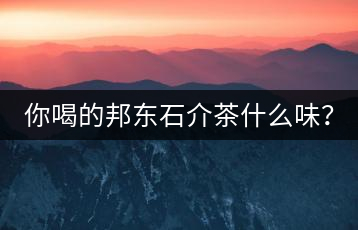 你喝的邦東石介茶什么味？