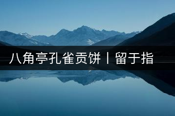 八角亭孔雀貢餅丨留于指尖的山野香