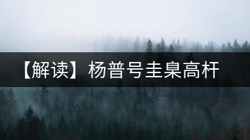 【解讀】楊普號圭臬高桿茶：形高、氣足、韻遠(yuǎn)的一款茶