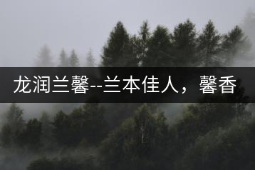 龍潤蘭馨–蘭本佳人，馨香高雅