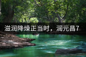 滋潤降燥正當(dāng)時(shí)，潤元昌701野生古樹紅茶驚鴻再現(xiàn)