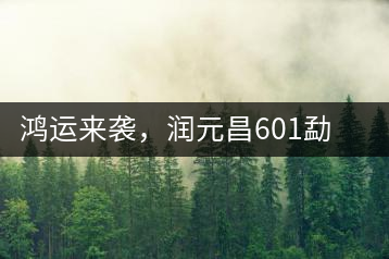 鴻運來襲，潤元昌601勐海紅韻熟茶即將上市