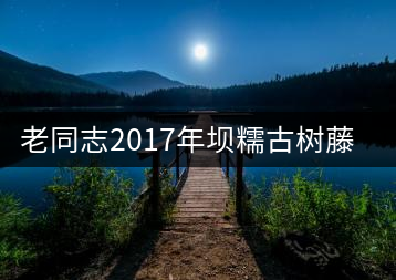 老同志2017年壩糯古樹藤條茶上市