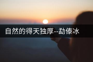 自然的得天獨(dú)厚–勐傣冰島茶魂