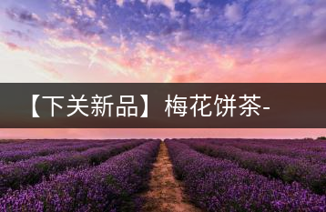 【下關(guān)新品】梅花餅茶-胭脂點春暗香來