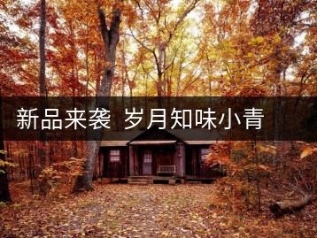 新品來(lái)襲  歲月知味小青柑（貳號(hào)）喜迎國(guó)慶