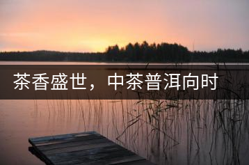 茶香盛世，中茶普洱向時代獻禮