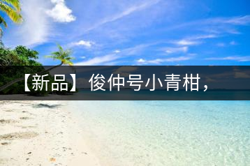 【新品】俊仲號小青柑，青果來傾城