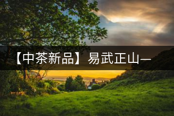 【中茶新品】易武正山——舊時(shí)難得茗中瑞品