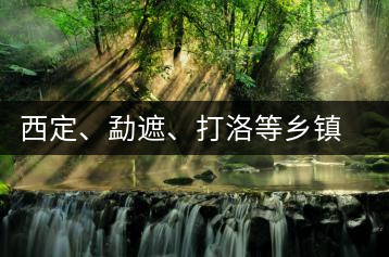 西定、勐遮、打洛等鄉(xiāng)鎮(zhèn)古茶樹資源