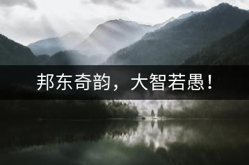 邦東奇韻，大智若愚！