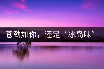 蒼勁如你，還是“冰島味”嗎？
