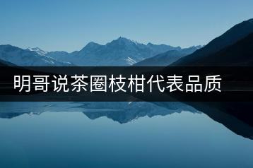明哥說茶圈枝柑代表品質(zhì)高點(diǎn)，是玩家級(jí)的產(chǎn)品
