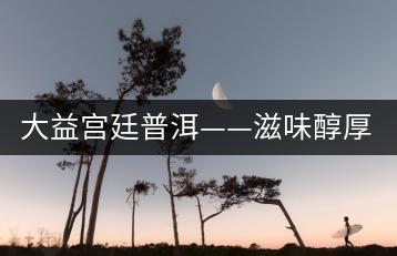 大益宮廷普洱——滋味醇厚，陳香濃郁