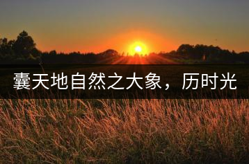 囊天地自然之大象，歷時光十載流轉(zhuǎn)-皇茶一號