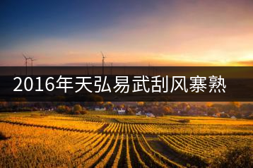 2016年天弘易武刮風(fēng)寨熟茶一泡耐人尋味！