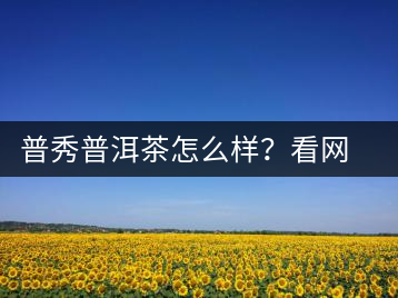 普秀普洱茶怎么樣？看網(wǎng)友精彩回答