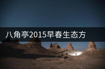 八角亭2015早春生態(tài)方磚正式上市茶界大神如何評(píng)價(jià)