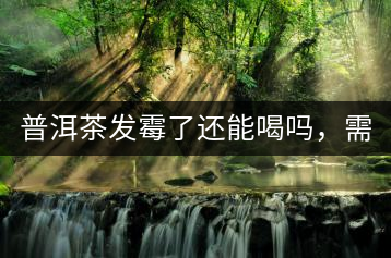 普洱茶發(fā)霉了還能喝嗎，需要怎么處理？