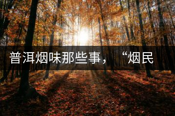 普洱煙味那些事，“煙民”不怕當(dāng)