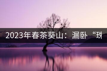 2023年春茶葵山：漏臥“珠江紅：1200元-3200元（有3個檔次）漏臥“大廠茶”：古樹單株8600-9000元／公斤，中樹4800-5200元／公斤，小樹混采2600-2800元／公斤。