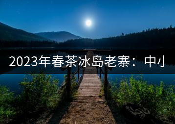 2023年春茶冰島老寨：中小樹混采2500-3000元／公斤，大樹：7000-8000元／公斤，古樹混采：28000-36000元／公斤