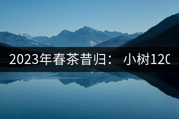 2023年春茶昔歸： 小樹(shù)1200-1600元／公斤，大樹(shù)4500-5200元／公斤，古樹(shù)7500-9000元／公斤.