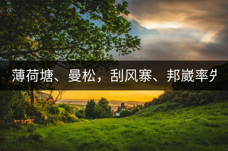 薄荷塘、曼松，刮風(fēng)寨、邦崴率先開采，2019普洱春季大戰(zhàn)開始了