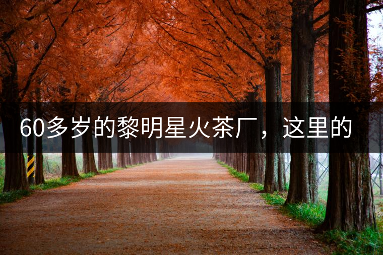 60多歲的黎明星火茶廠，這里的人依然在做茶