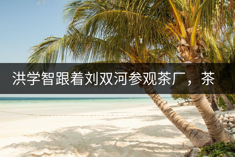 洪學(xué)智跟著劉雙河參觀茶廠，茶廠黃老板對(duì)賣苦力的百姓百般欺凌